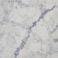 КВАРЦ CALACATTA VIOLA EQJM 053